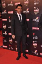 Arjun Rampal at Screen Awards red carpet in Mumbai on 12th Jan 2013 (520).JPG